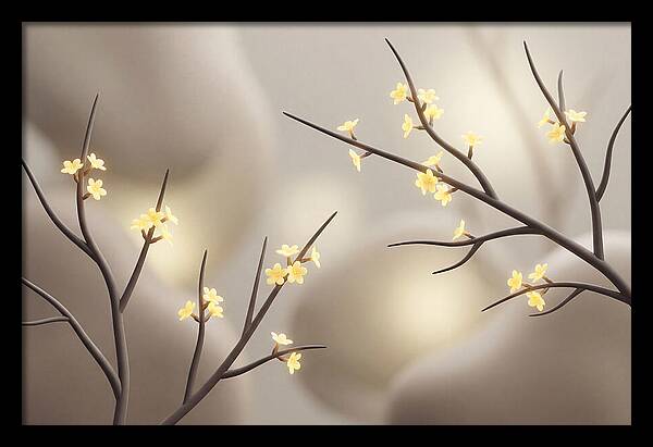 Winter Jasmine Blooms
