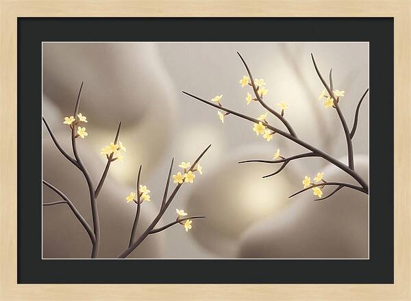 Winter Jasmine Blooms