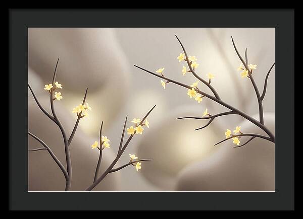 Winter Jasmine Blooms