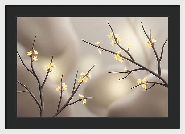 Winter Jasmine Blooms