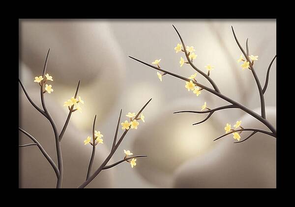 Winter Jasmine Blooms