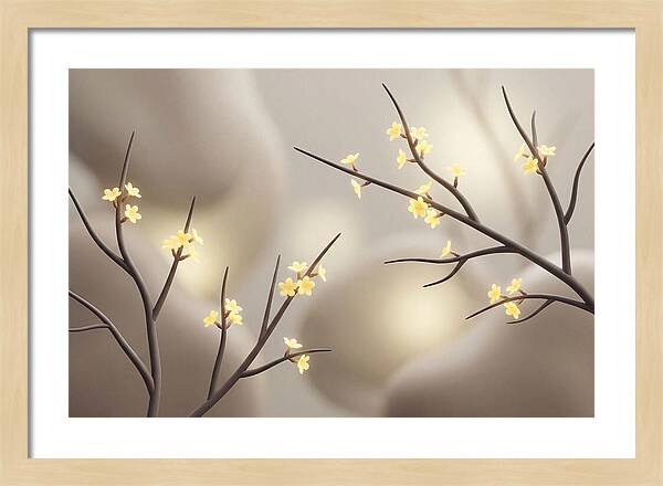 Winter Jasmine Blooms