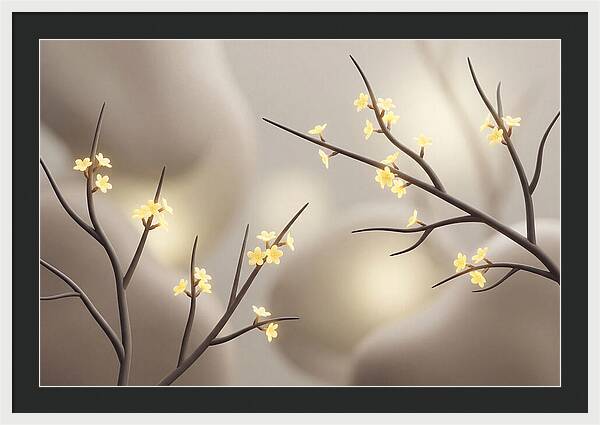 Winter Jasmine Blooms