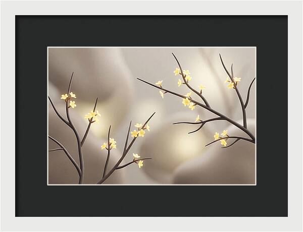 Winter Jasmine Blooms