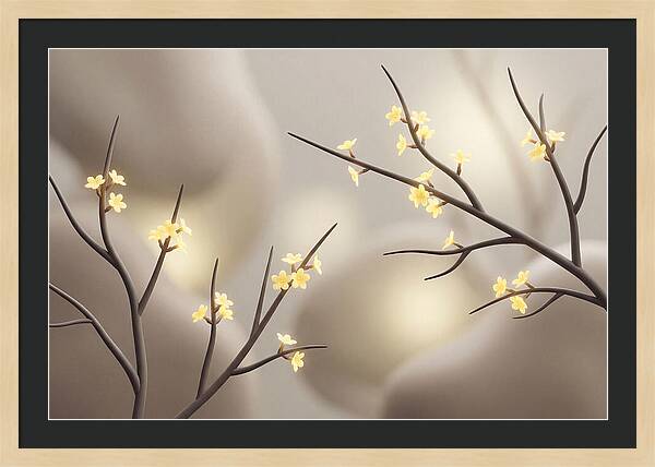 Winter Jasmine Blooms