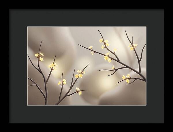 Winter Jasmine Blooms