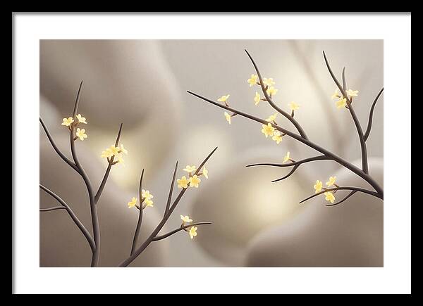 Winter Jasmine Blooms