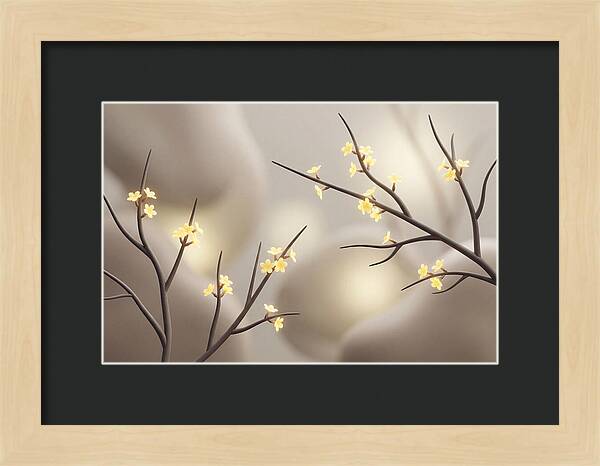 Winter Jasmine Blooms