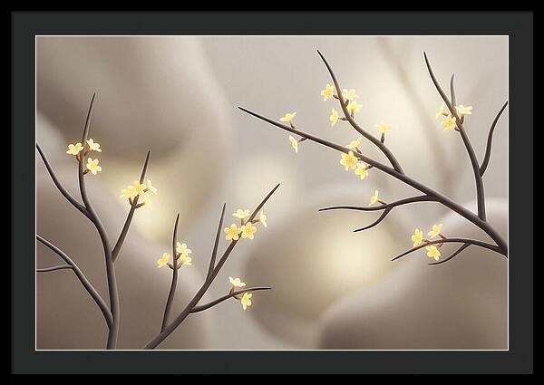 Winter Jasmine Blooms