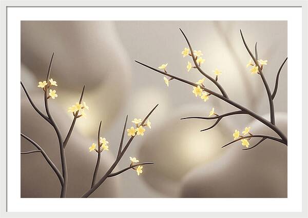 Winter Jasmine Blooms