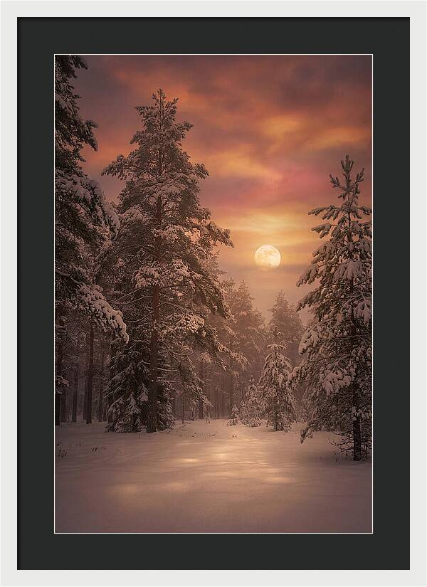 Winter Moonlight Over Snowy Pines