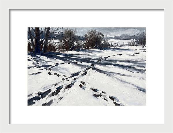 Winter Owl Tracks In Fresh Snow