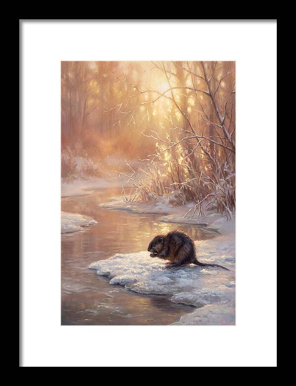 Winter Reflection