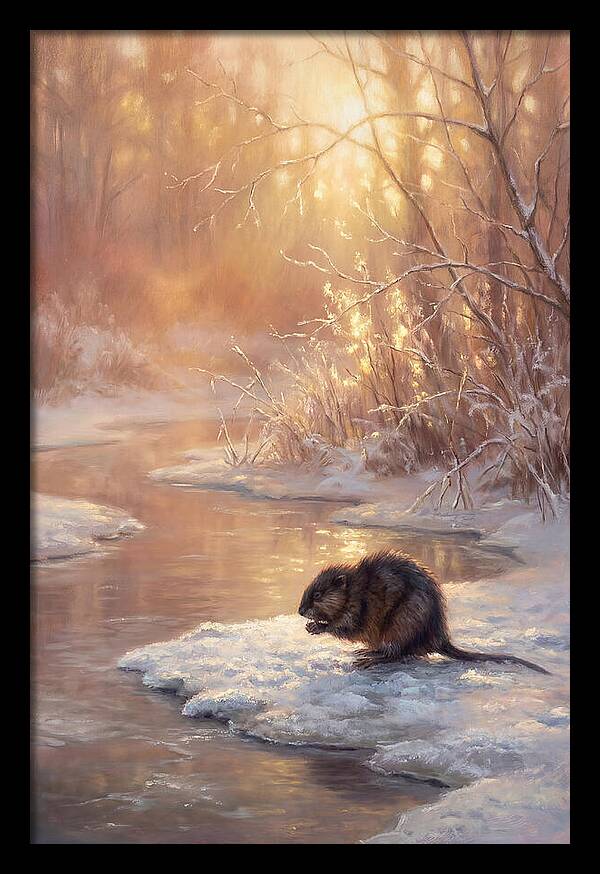 Winter Reflection