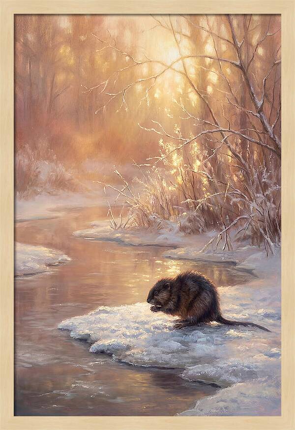 Winter Reflection