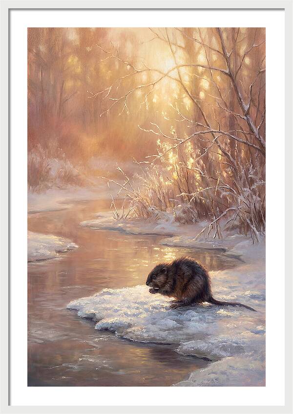 Winter Reflection