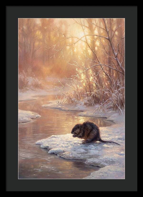 Winter Reflection