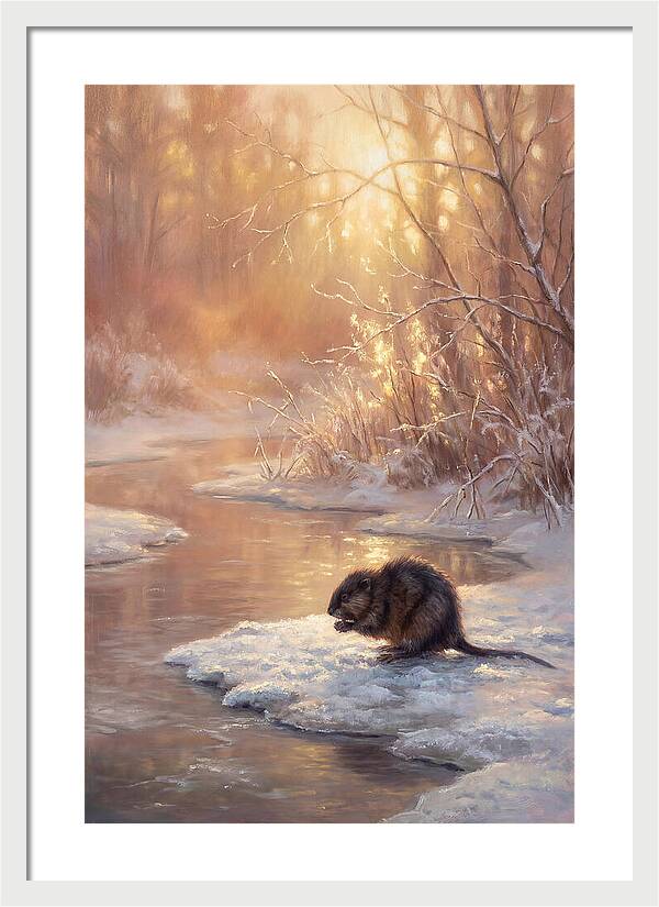 Winter Reflection