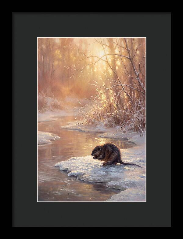 Winter Reflection