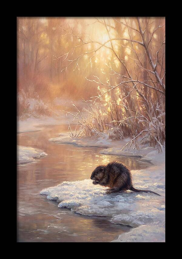 Winter Reflection