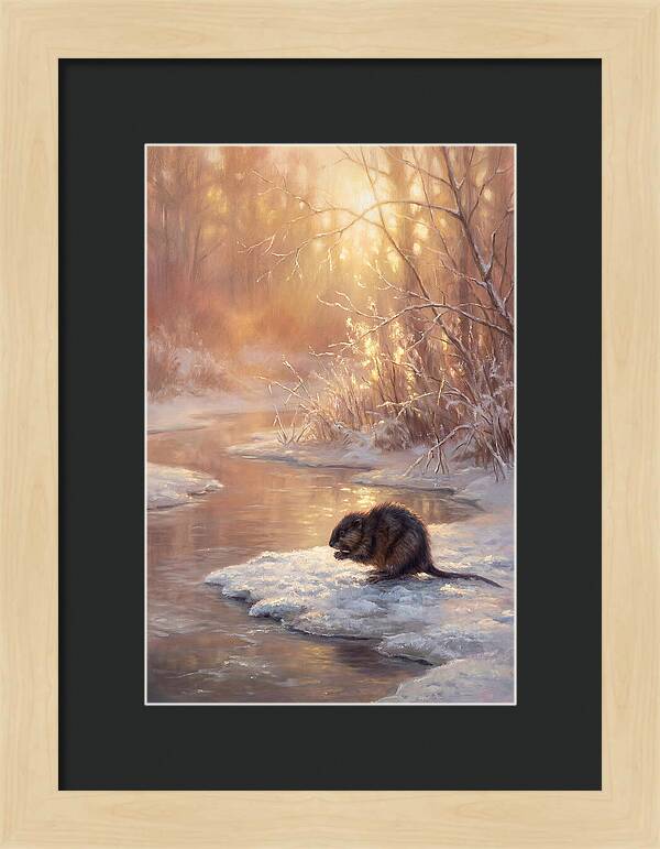 Winter Reflection