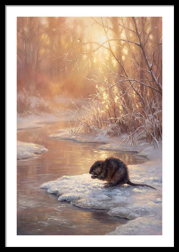 Winter Reflection