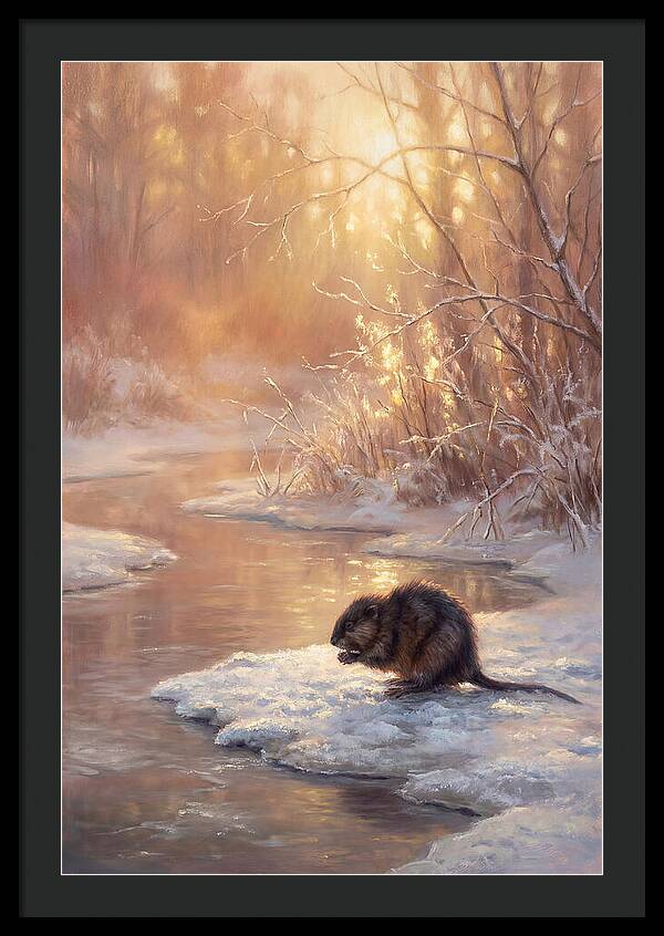 Winter Reflection