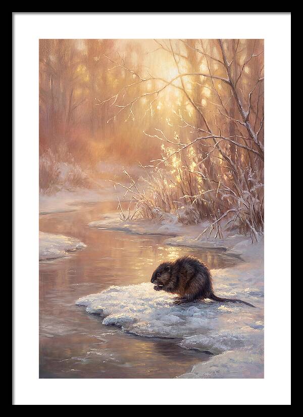 Winter Reflection