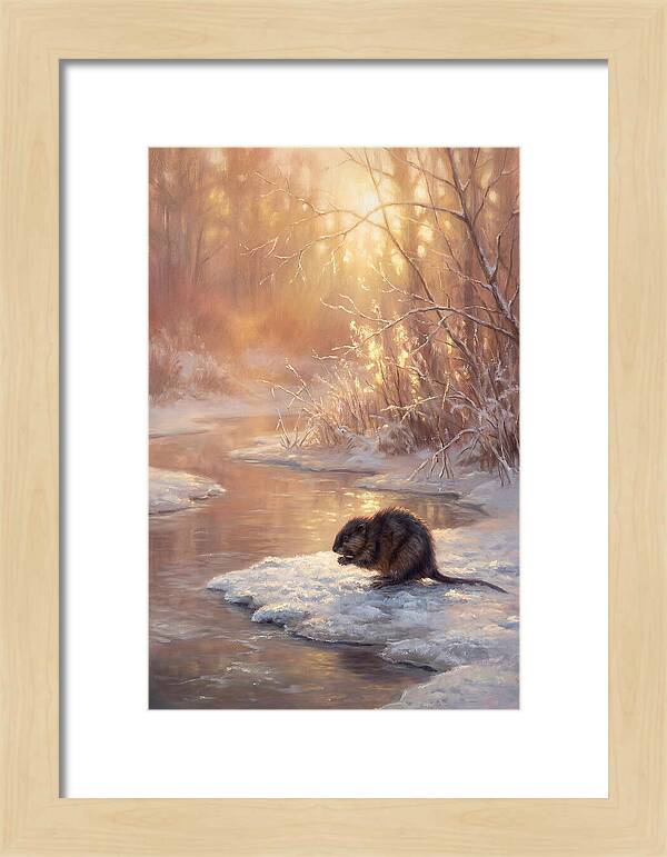 Winter Reflection
