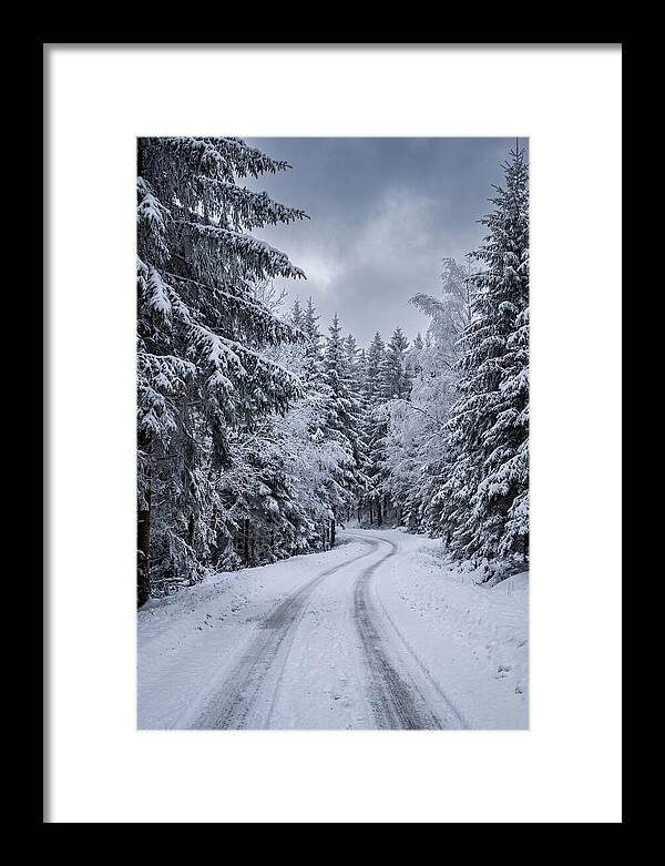 Winter Road Through Snowy Pines