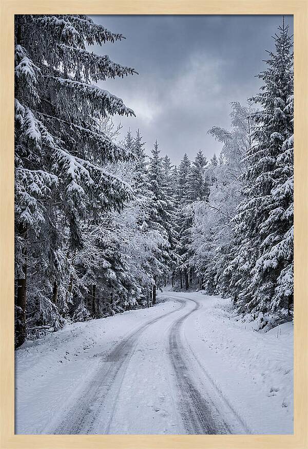 Winter Road Through Snowy Pines