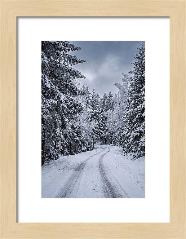 Winter Road Through Snowy Pines