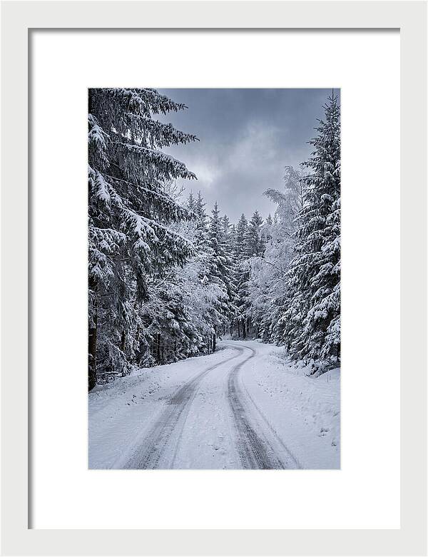 Winter Road Through Snowy Pines
