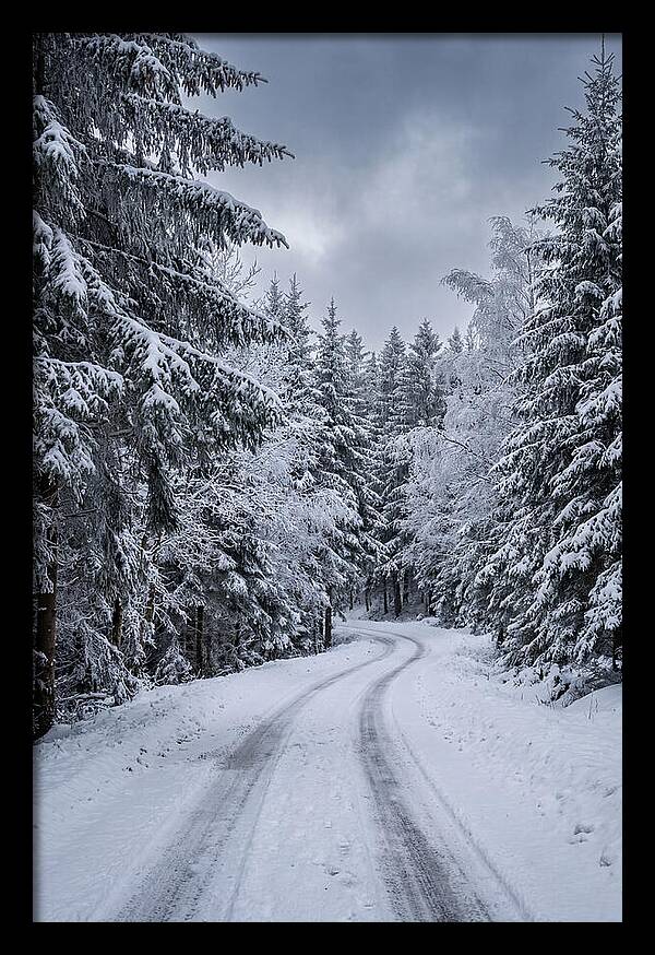Winter Road Through Snowy Pines