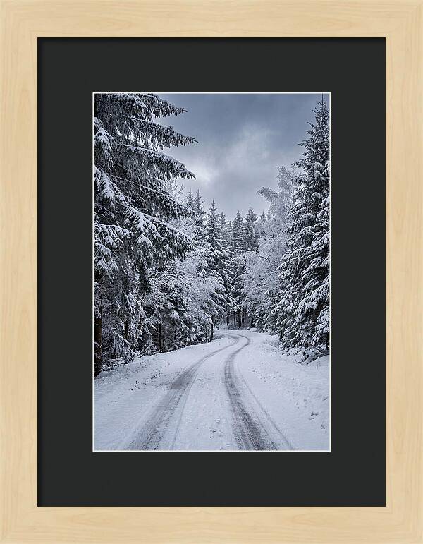 Winter Road Through Snowy Pines