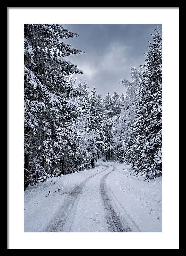Winter Road Through Snowy Pines