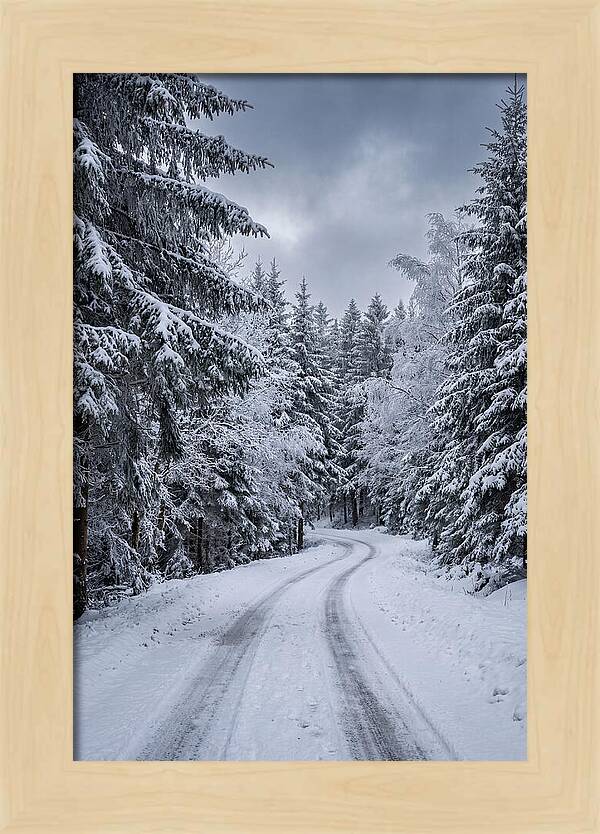 Winter Road Through Snowy Pines