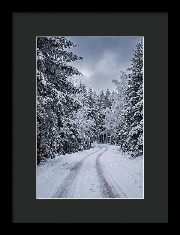 Winter Road Through Snowy Pines