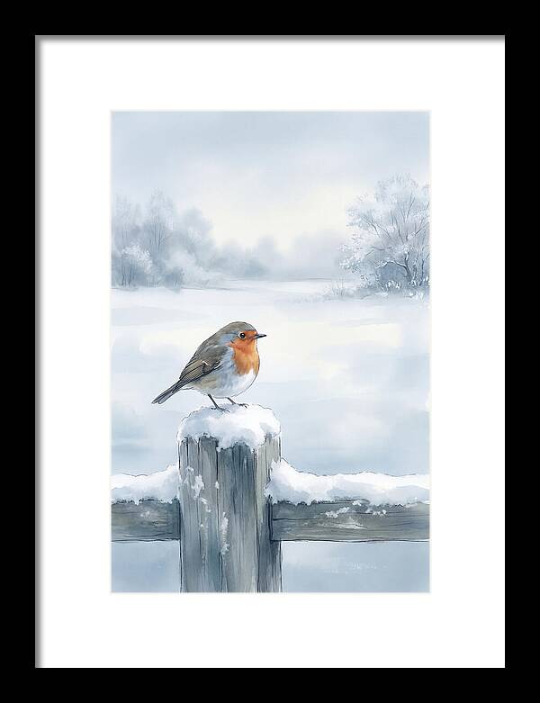 Winter Robin On Garden Fence