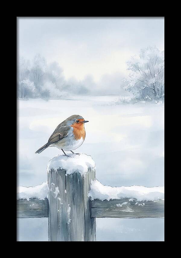 Winter Robin On Garden Fence
