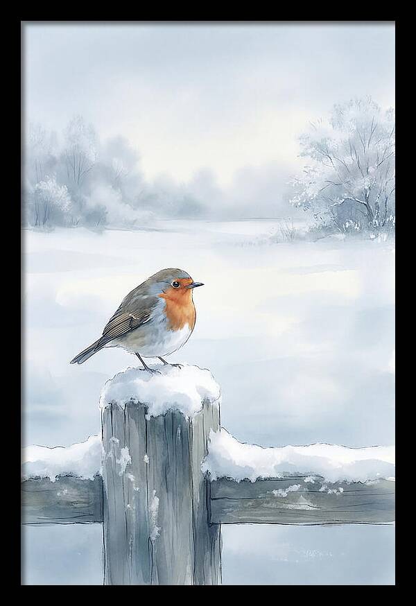 Winter Robin On Garden Fence