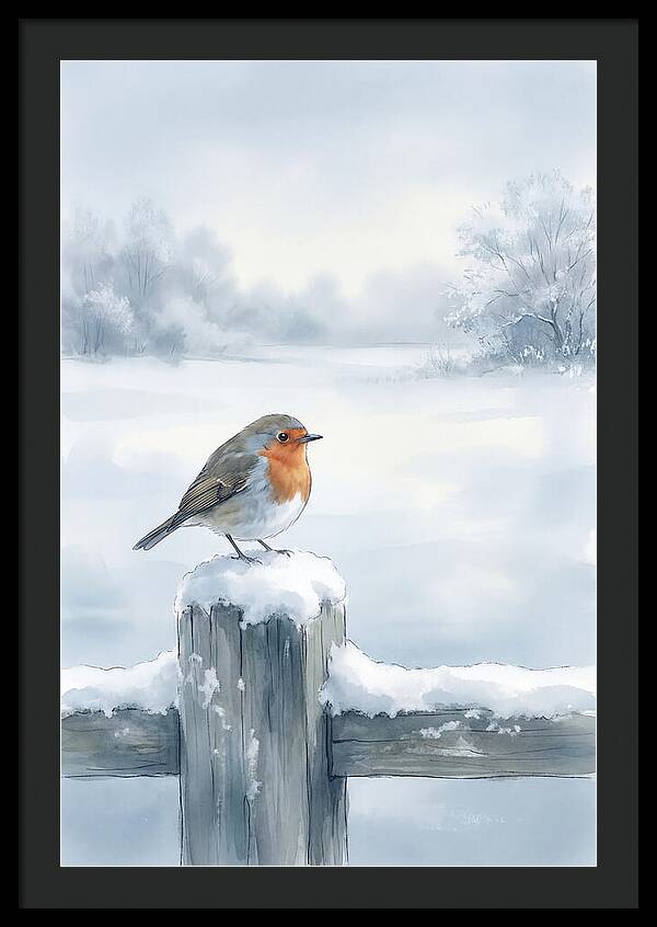 Winter Robin On Garden Fence