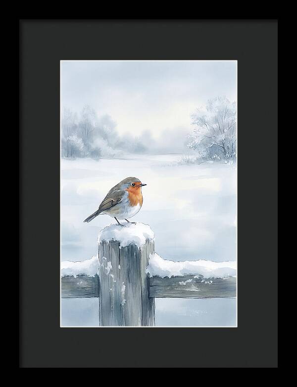 Winter Robin On Garden Fence