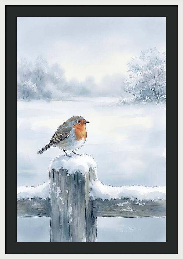 Winter Robin On Garden Fence