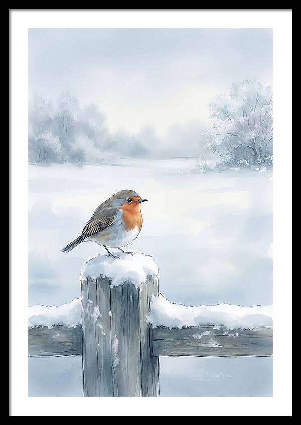 Winter Robin On Garden Fence