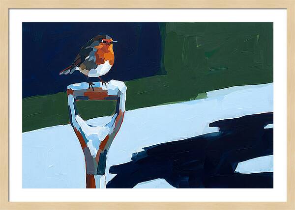 Winter Robin Perched On Snow