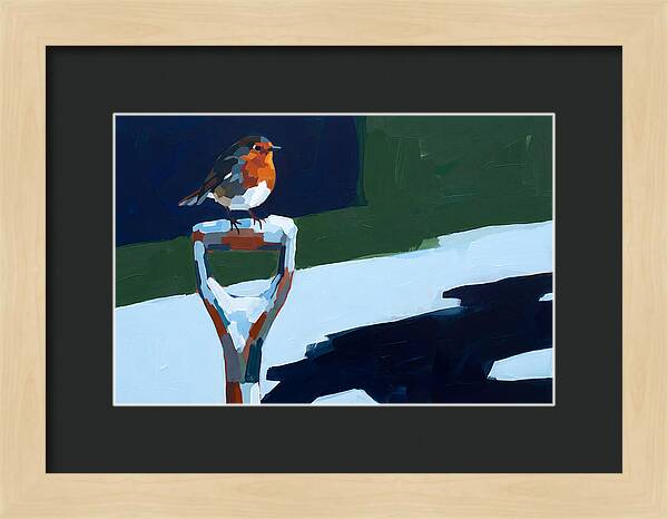 Winter Robin Perched On Snow