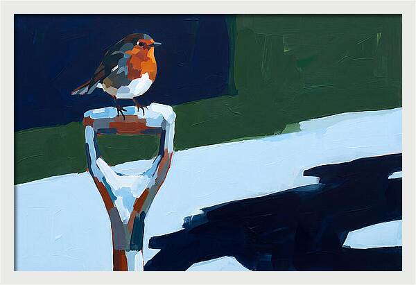 Winter Robin Perched On Snow