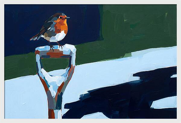 Winter Robin Perched On Snow
