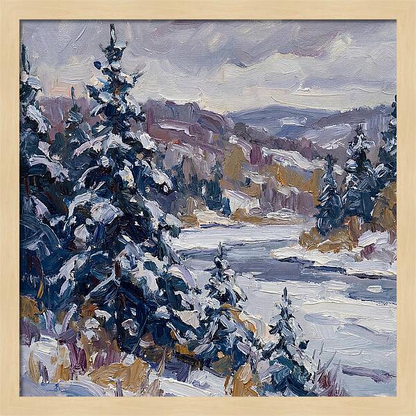 Winter Serenity In Snow